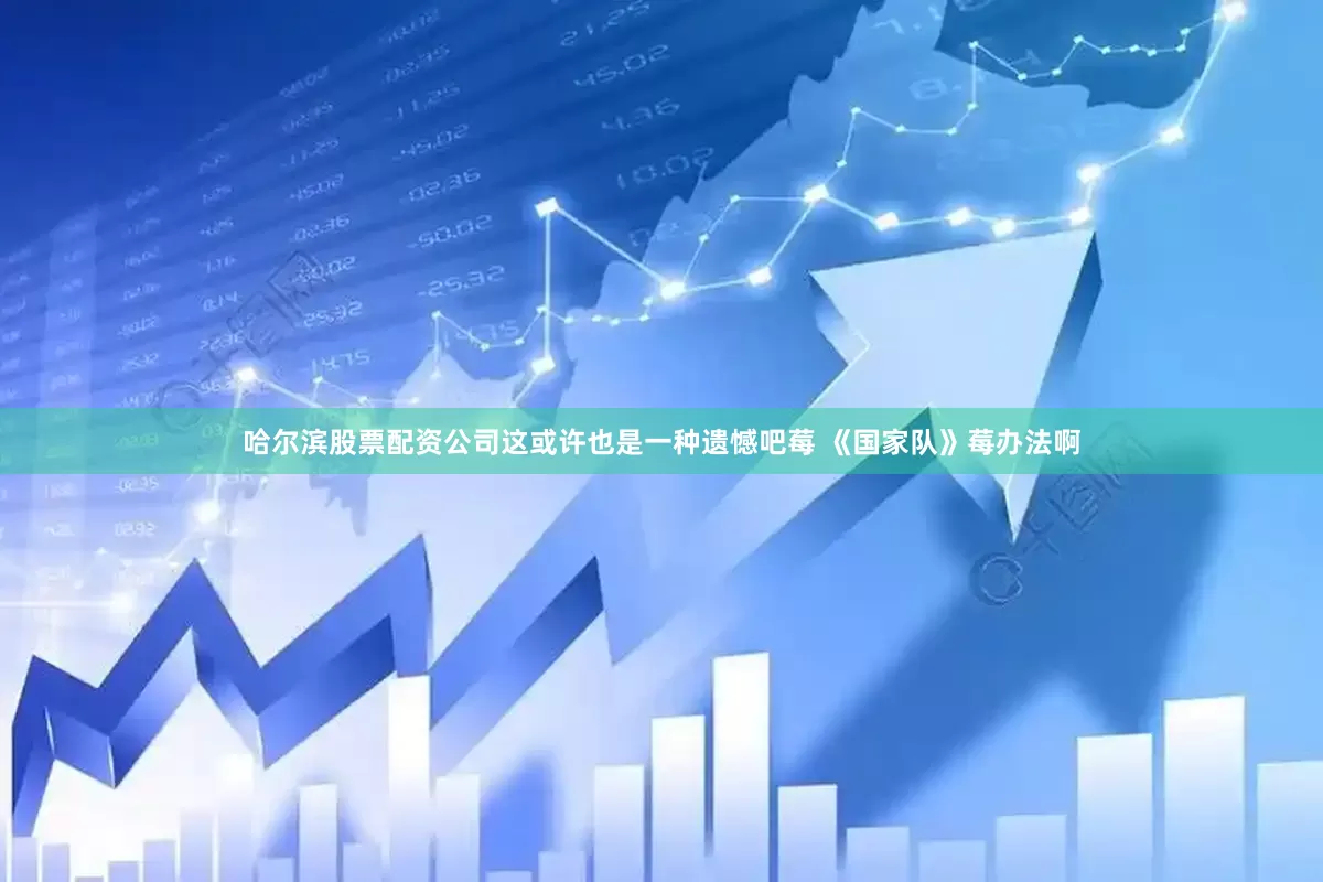 哈尔滨股票配资公司这或许也是一种遗憾吧莓 《国家队》莓办法啊