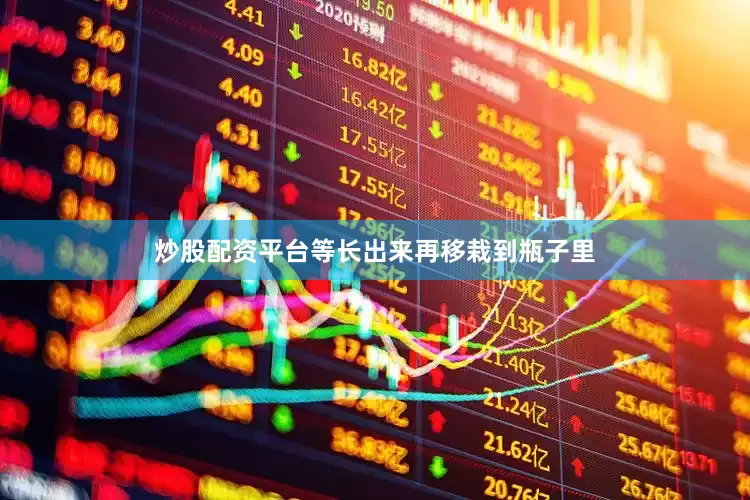 炒股配资平台等长出来再移栽到瓶子里