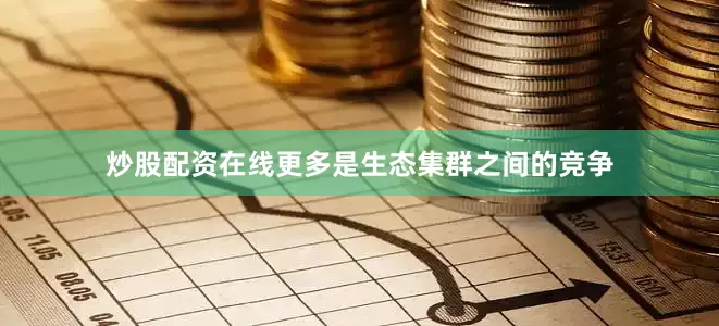 炒股配资在线更多是生态集群之间的竞争