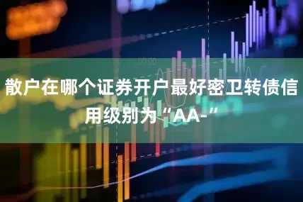 散户在哪个证券开户最好密卫转债信用级别为“AA-”